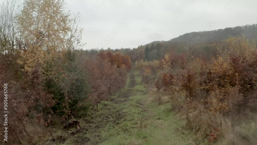 Beautiful Drone Aerial Shot of the Harz national park forest in north Germany at a cloudy moody day in late autumn Beautiful Drone Aerial Shot of the Harz national park forest in north Germany at a cloudy moody day in late autumn