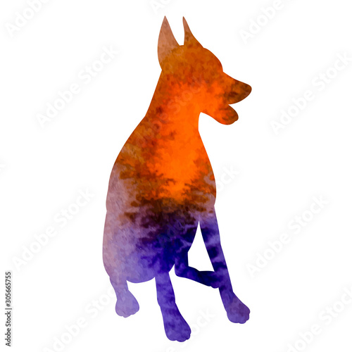 white background, orange watercolor silhouette of a dog sitting