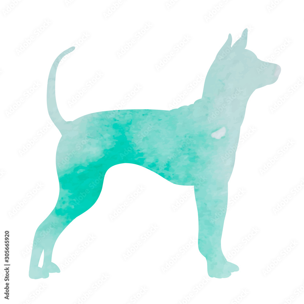 white background, green watercolor silhouette of a dog standing