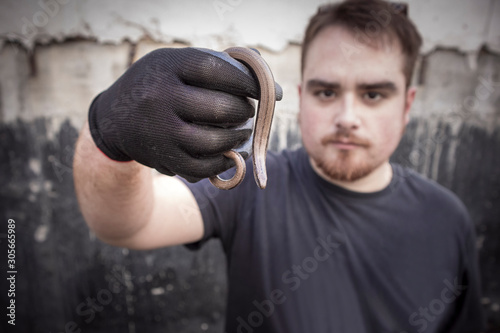 Young man saves a small snake while digging in an urban garden.g photo