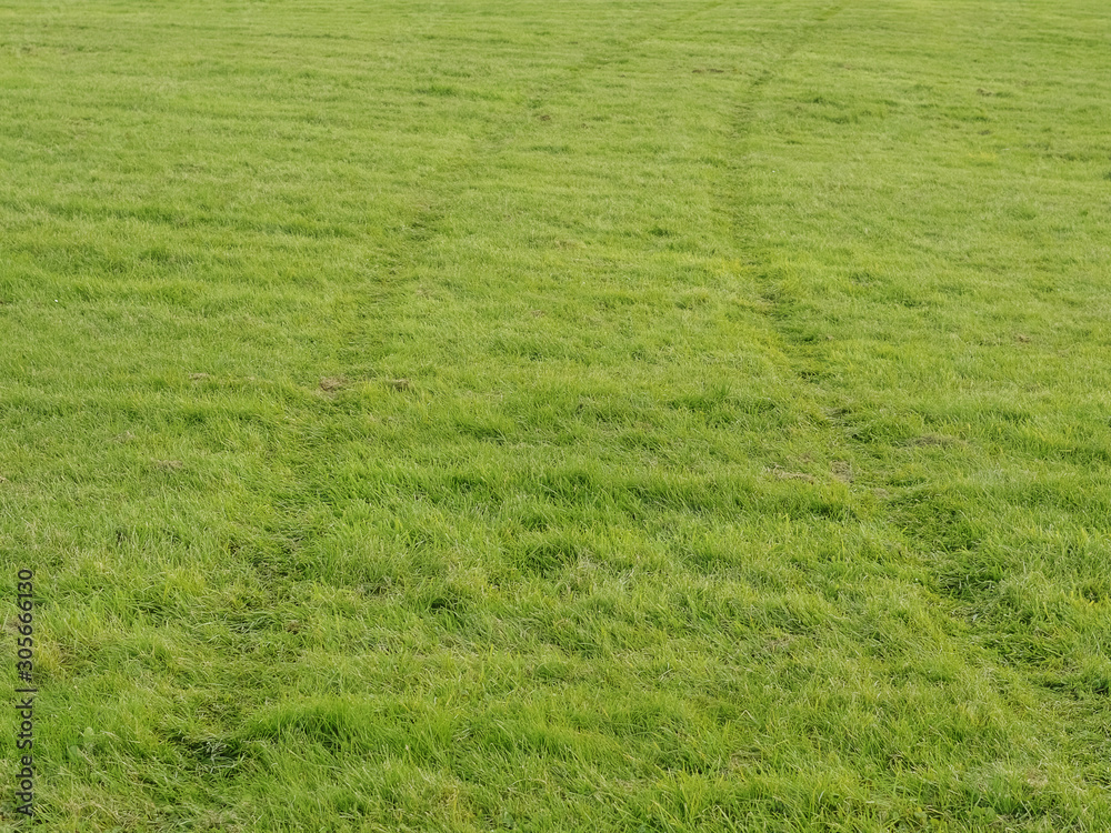 Simple green grass field with tractor prints, Nature background. Agriculture concept. Simple green grass field with tractor prints, Nature background. Agriculture concept.