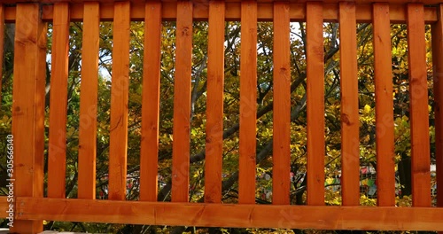 Wooden railing on trail during strong wind in background with moving trees leaves flying around wooden railing and sun penetrates through gaps captured in Beskids area 4k 60fps. photo