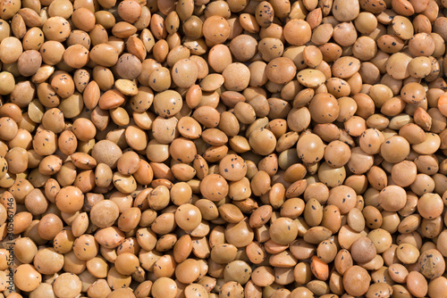 Close up shot of many mountain lentils on a pile