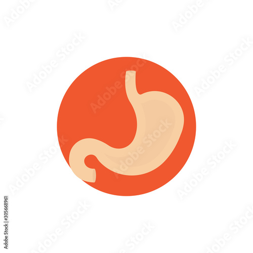 Stomach Vector Icon