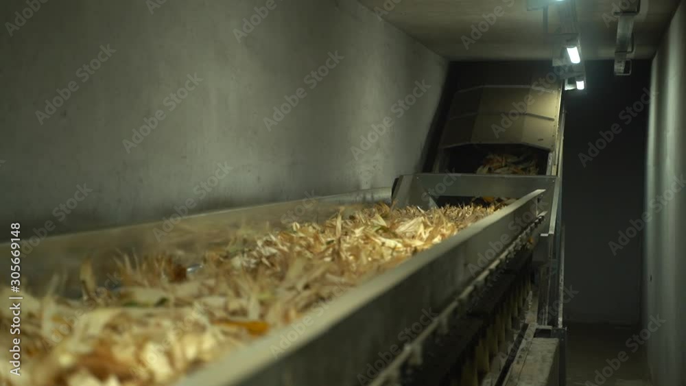 Wide angle shot where corn is moving to conveyor and rising up HD Wide angle shot where corn is moving to conveyor and rising up HD