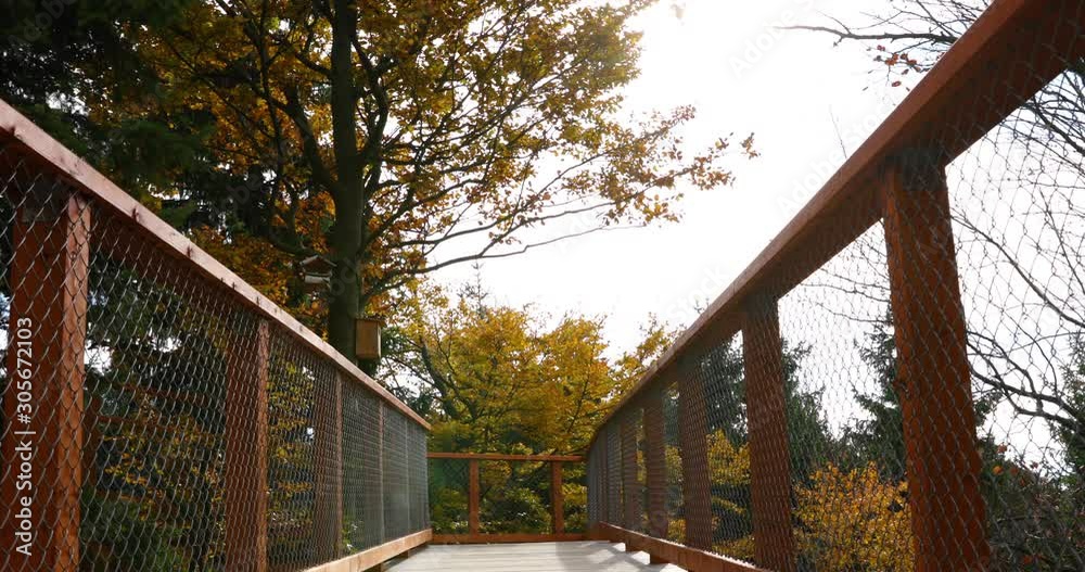 View of treetops moving in strong wind from the side to side and the wooden construction of a viewpoint hitting tree trunks during a sunny autumn day captured in Beskids area 4k 60fps.