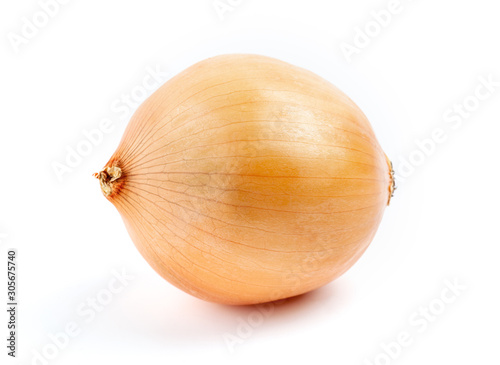 Onion on white background isolated
