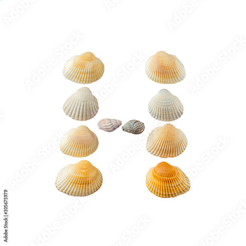 Letter "h" composed from seashells, isolated on white background