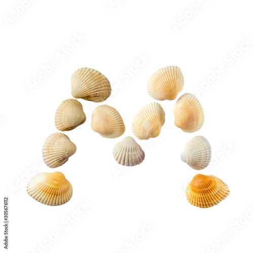 Letter "m" composed from seashells, isolated on white background