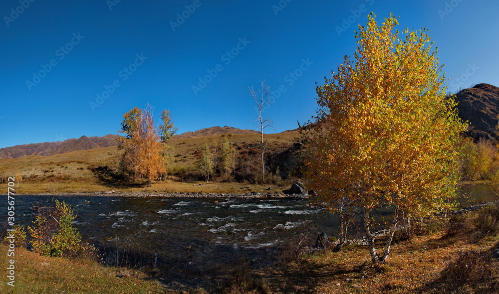 Fototapeta premium Russia. Mountain Altai. Ursul river near the village of Ongudai