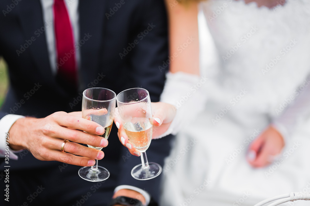 Smiling wedding couple clinking with glasses of champagne Smiling wedding couple clinking with glasses of champagne