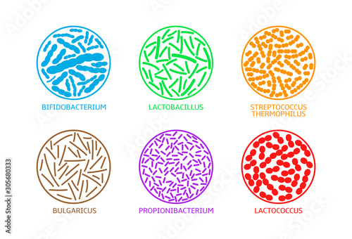Probiotic bacteria icons. Live microorganisms promoted with claims that they provide health benefits when consumed, generally by improving or restoring the gut flora