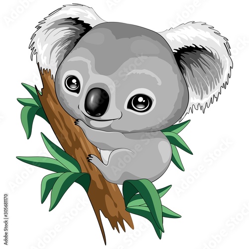 Koala Baby Cute Cartoon Character Vector Illustration 