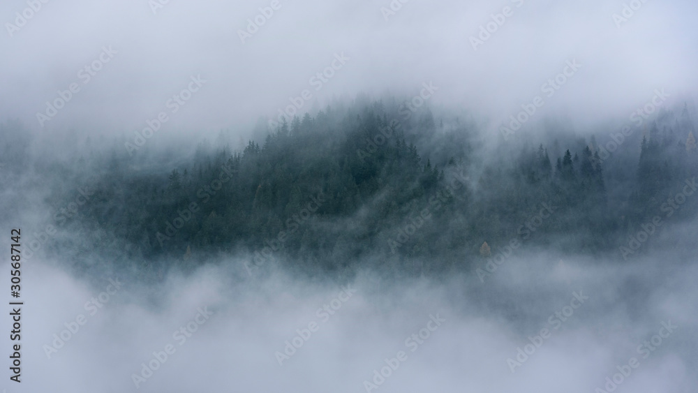 Low cloud layers covering alpine mountain forest in South Tyrol, Italy. Low cloud layers covering alpine mountain forest in South Tyrol, Italy.