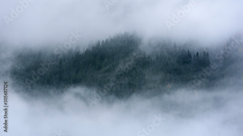 Low cloud layers covering alpine mountain forest in South Tyrol, Italy. © valdisskudre