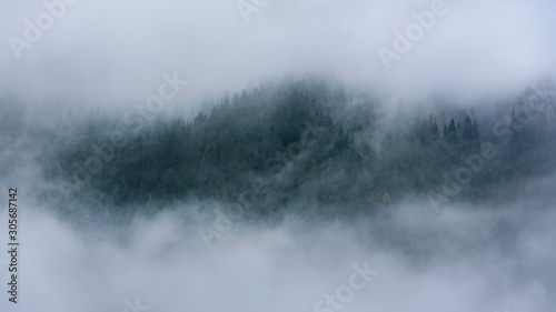 Low cloud layers covering alpine mountain forest in South Tyrol, Italy.