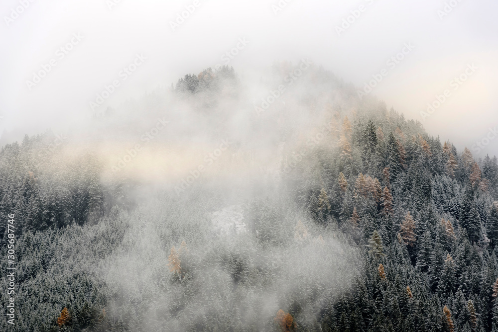 Autumn and winter colour mix / Italian Alpine mountains during autumn switching to  winter in foggy day