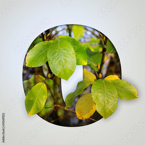 Nature concept. Creative number with autumn leaves on a gray background. Creative typography, Chapter in the presentation, template. 0 number zero.