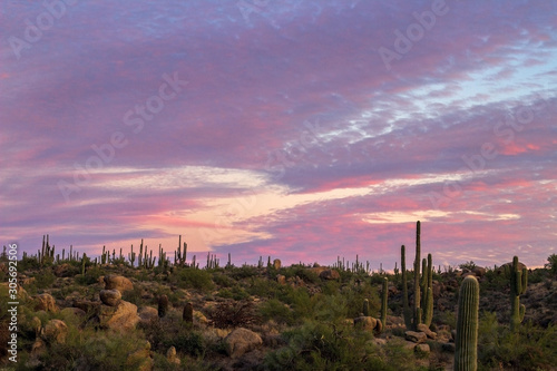 Sunset Sky In Desert Preserve In Arizona
