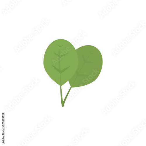 vegetable spinach flat style icon