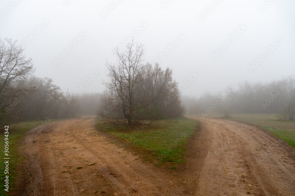 Fog and rain in the spring forest. Country road covered in mud and clay.