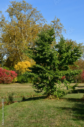 Versailles; France - october 14 2018 : Petit Trianon park in the Marie Antoinette estate photo