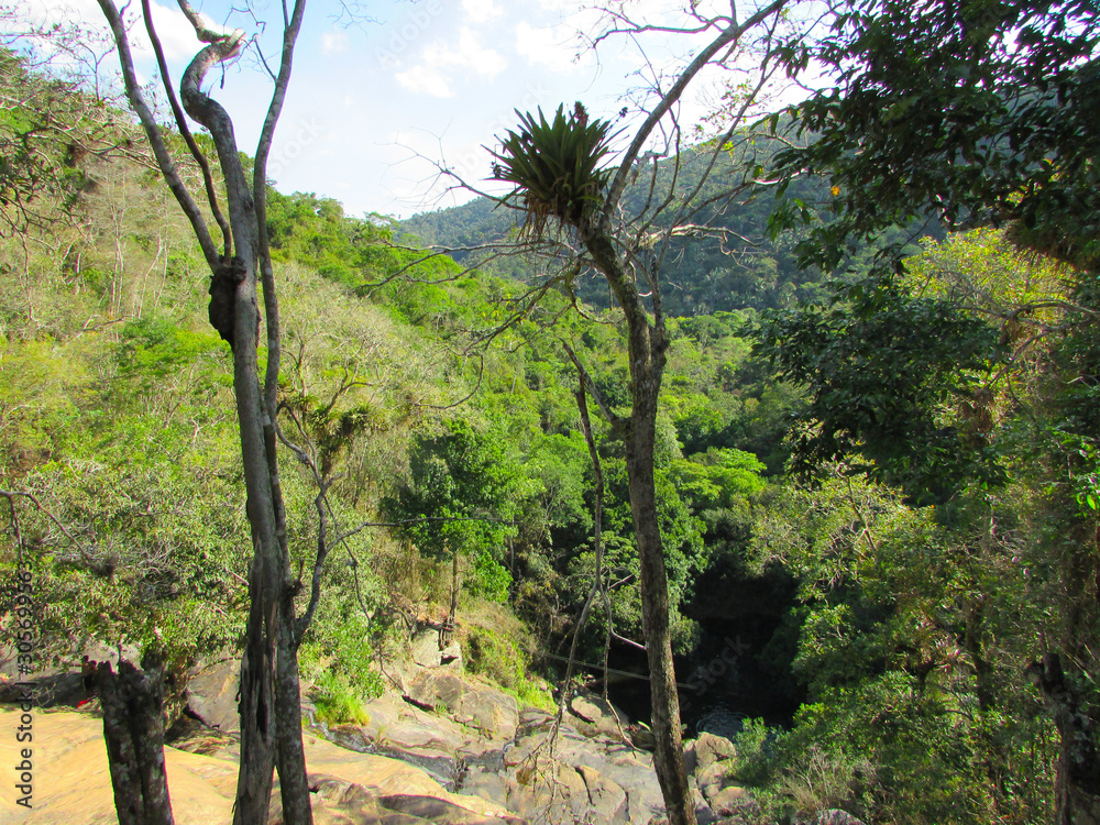 Forest view in guaramiranga valley