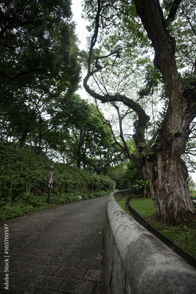 Park walkway in Singapore Park walkway in Singapore