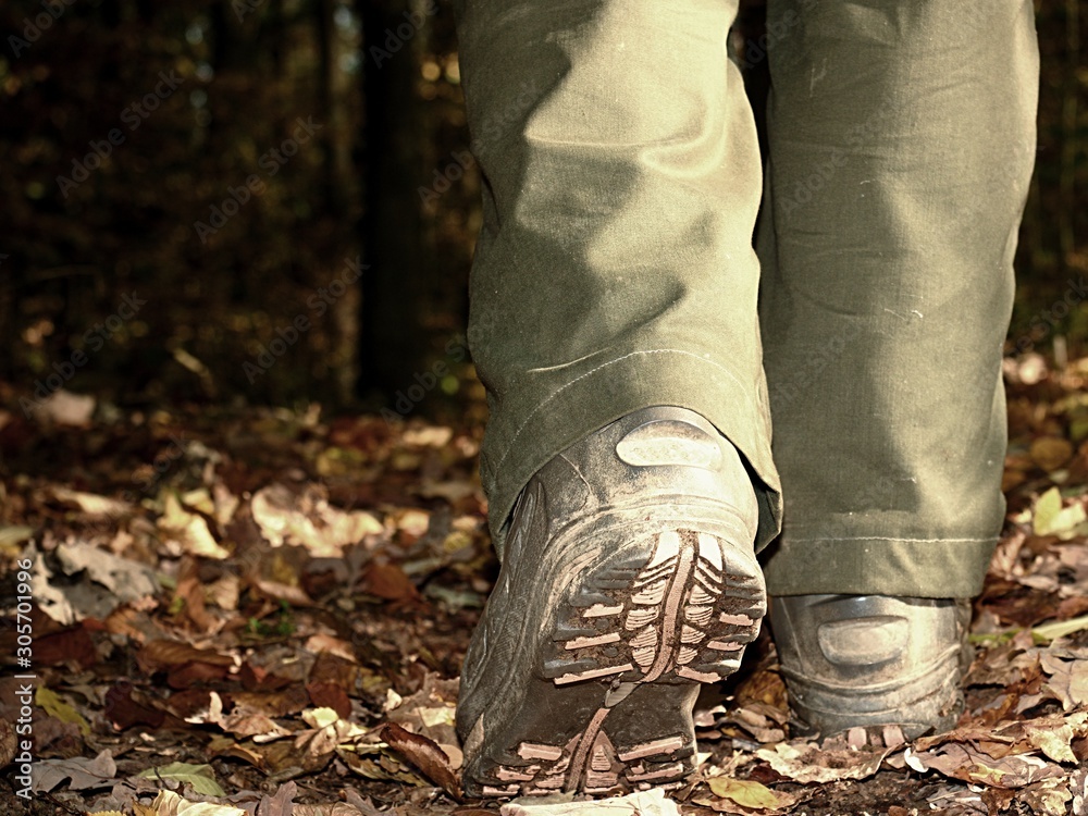 Obraz premium Close-up of walking in trekking boots on of leaves in forest