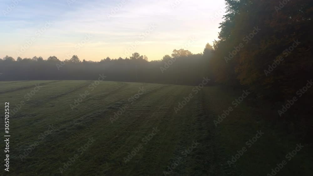 Agricultural grass field and trees at foggy sunrise. Drone shot flying over meadow next ot forest in the morning. Misty nature background in 4K resolution Agricultural grass field and trees at foggy sunrise. Drone shot flying over meadow next ot forest in the morning. Misty nature background in 4K resolution