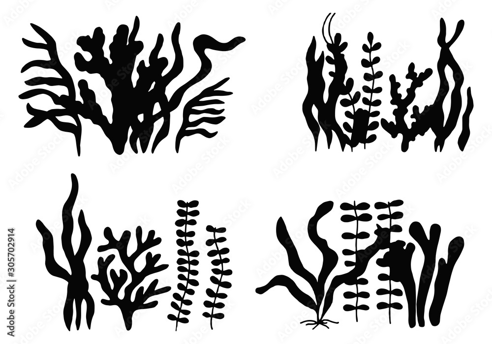 edible algae. marine food set. isolated objects silhouettes edible algae. marine food set. isolated objects silhouettes