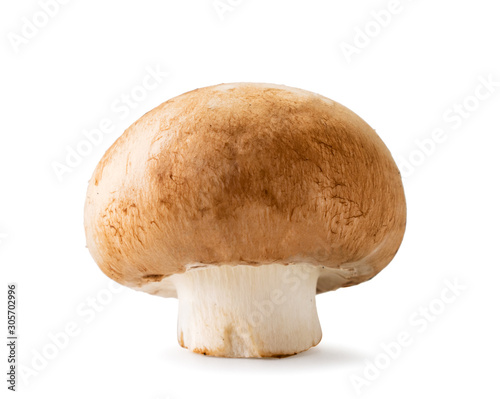 One mushroom champignon closeup on a white. Isolated