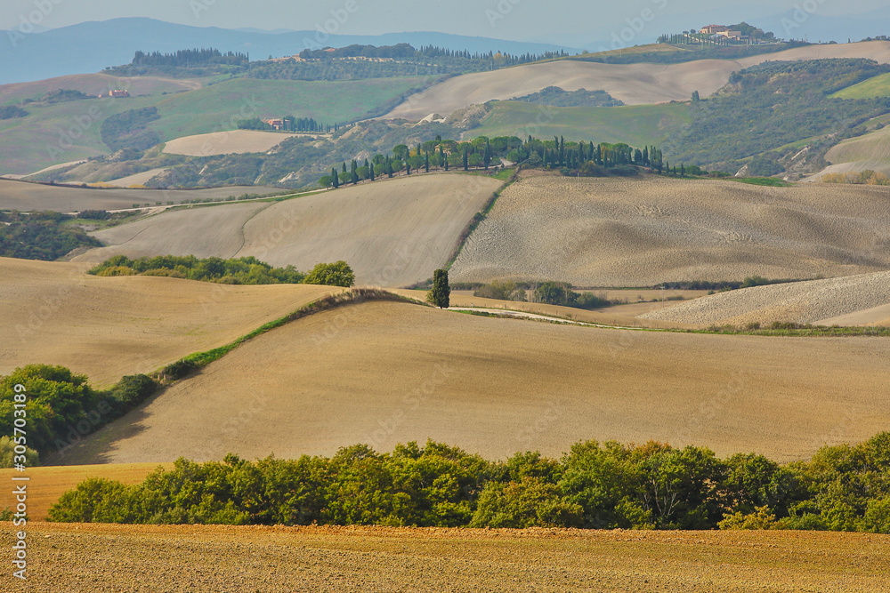 Fototapeta premium landscape of hills tuscany in autumn in Italy