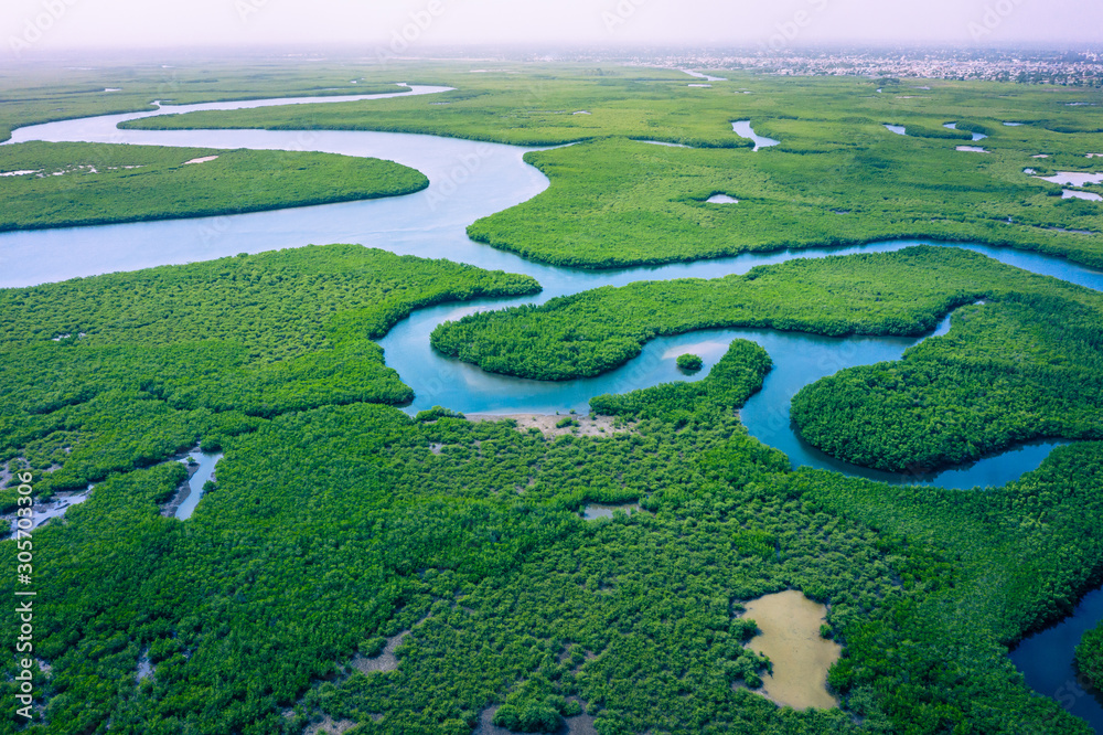Gambia Mangroves. Aerial view of mangrove forest in Gambia. Photo made by drone from above. Africa Natural Landscape. Gambia Mangroves. Aerial view of mangrove forest in Gambia. Photo made by drone from above. Africa Natural Landscape.