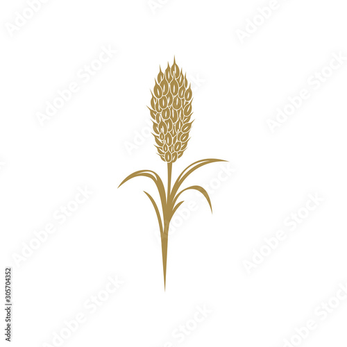 Creative brass spike vector illustration