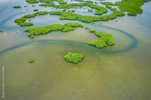 Senegal Mangroves. Aerial view of mangrove forest in the Saloum Delta National Park, Joal Fadiout, Senegal. Photo made by drone from above. Africa Natural Landscape.