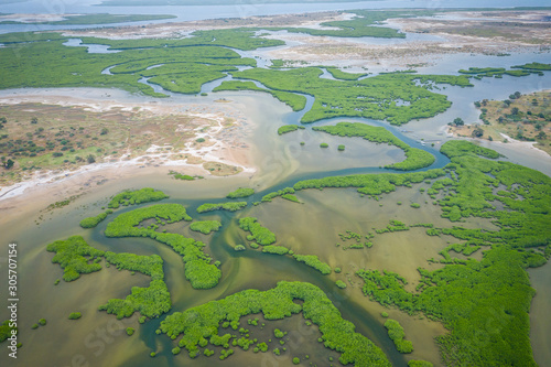 Senegal Mangroves. Aerial view of mangrove forest in the  Saloum Delta National Park, Joal Fadiout, Senegal. Photo made by drone from above. Africa Natural Landscape. photo