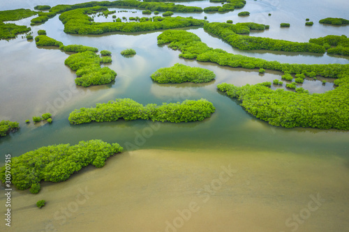 Senegal Mangroves. Aerial view of mangrove forest in the  Saloum Delta National Park, Joal Fadiout, Senegal. Photo made by drone from above. Africa Natural Landscape. photo