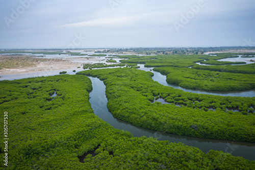 Senegal Mangroves. Aerial view of mangrove forest in the  Saloum Delta National Park, Joal Fadiout, Senegal. Photo made by drone from above. Africa Natural Landscape. photo