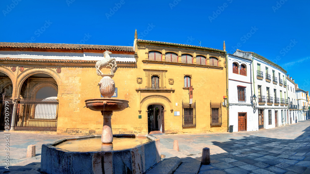 Street view with museum of Fine Arts on Plaza del Potro in Cordoba. Andalusia, Spain