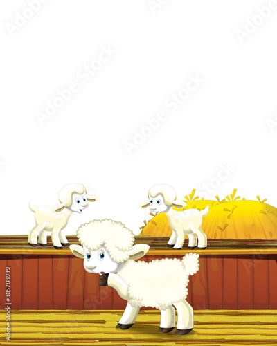 Fototapeta Naklejka Na Ścianę i Meble -  cartoon scene with sheep having fun on the farm on white background - illustration for children