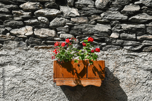 Close-up of an old stone wall with a hanging plant with red flowers in a wooden pot, Chianale, Cuneo, Piedmont, Italy photo