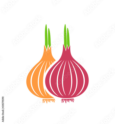 Onion logo. Isolated onion on white background