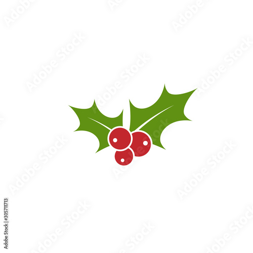 Holly berry flat icon. Christmas symbol vector illustration