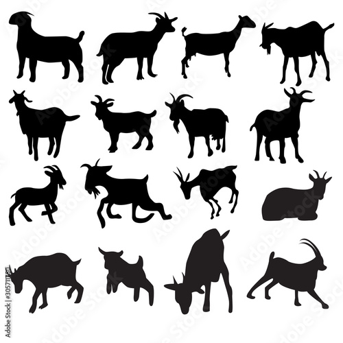 Set of goat Silhouette collection vector illustration with many style different like running,sitting,eating,etc . goat isolated on white background © herry caineng
