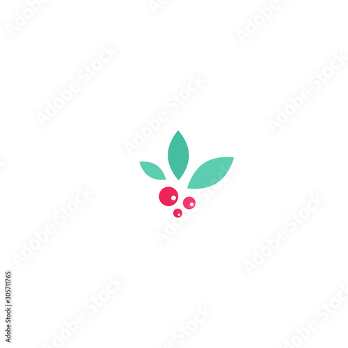 Holly berry flat icon. Christmas symbol vector illustration. holiday