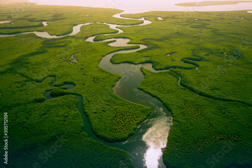 Gambia Mangroves. Aerial view of mangrove forest in Gambia. Photo made by drone from above. Africa Natural Landscape.