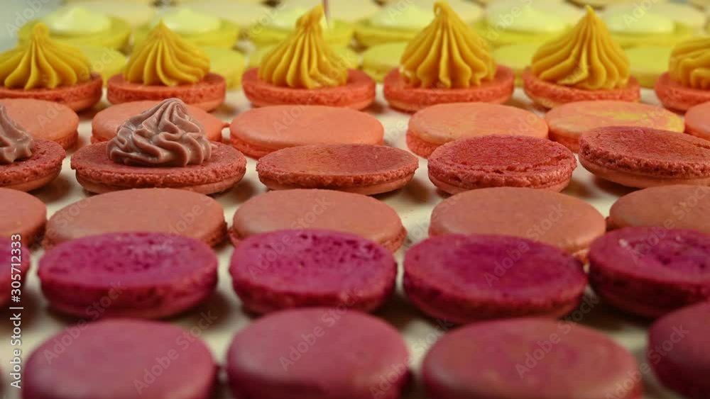 Chef with injector squeezing macaron cream Chef with injector squeezing macaron cream