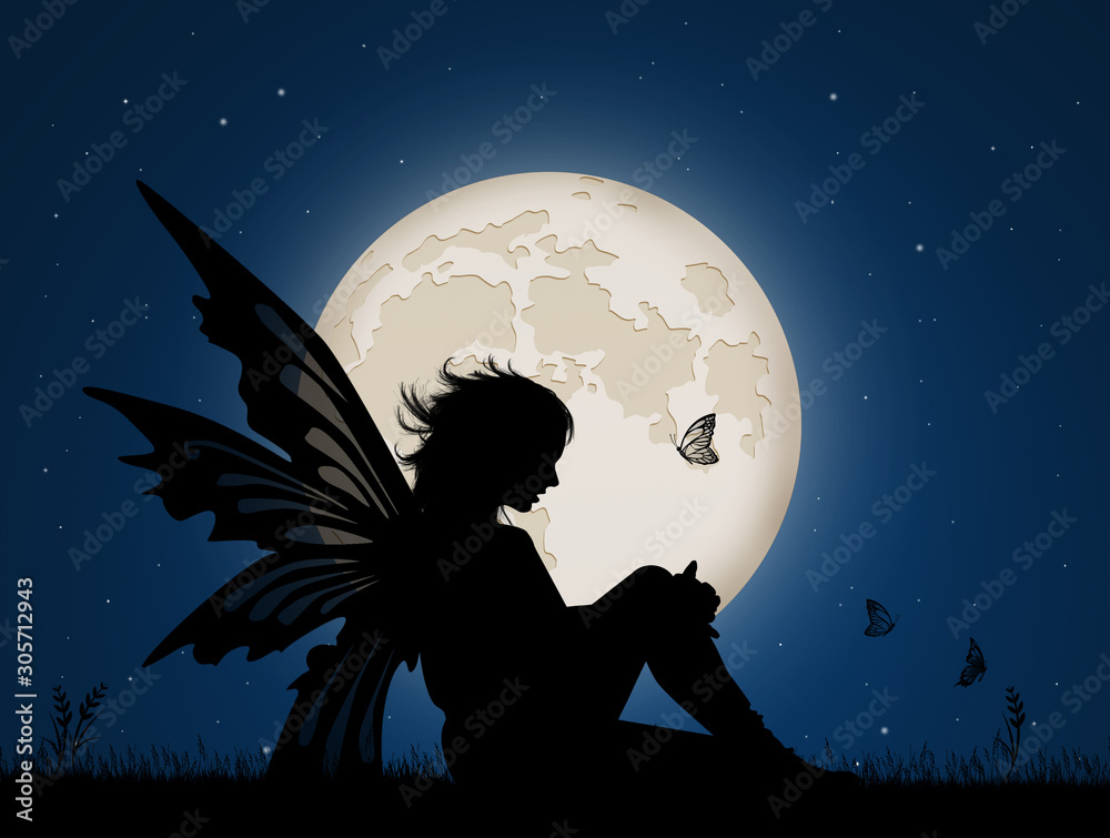fairy in the moonlight