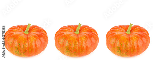 Ripe pumpkins isolated on white background. Panoramic collage. Wide photo .